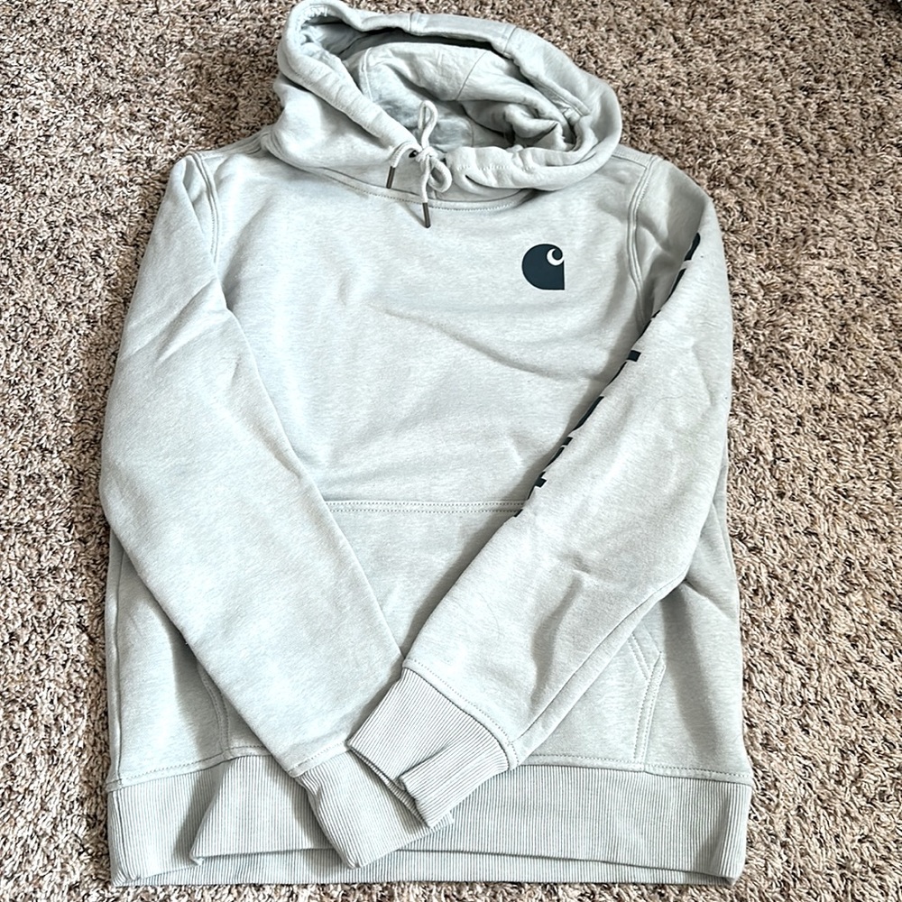 Carhartt Clarksburg Hoodie